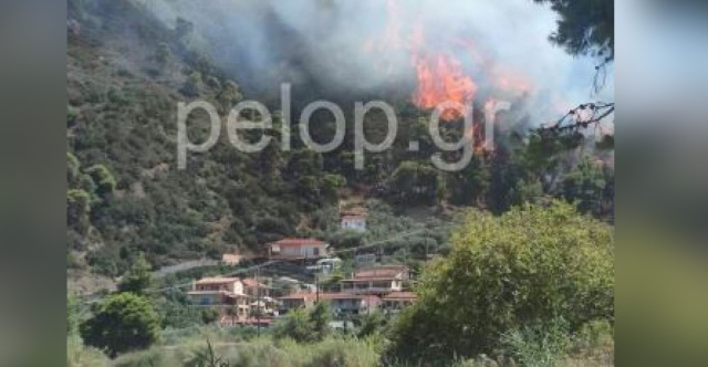 Αιγιαλεία: Μεγάλη φωτιά κοντά σε σπίτια στα Ζαχλωρίτικα – Διακοπή κυκλοφορίας στην παλαιά εθνική οδό Πατρών-Κορίνθου