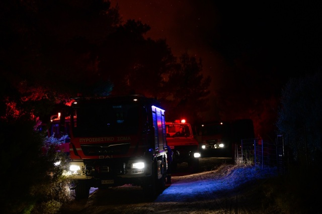 Υπό μερικό έλεγχο η φωτιά σε δασική έκταση στη Φθιώτιδα