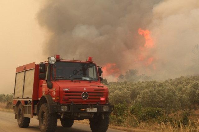 Φωτιά στον Έβρο: Τα διεθνή μέσα για τους 18 νεκρούς μετανάστες στο δάσος της Δαδιάς