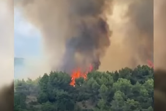 Αλβανία: Δασική πυρκαγιά μαίνεται κοντά στην πόλη Λατς – Συλλήψεις υπόπτων για εμπρησμό