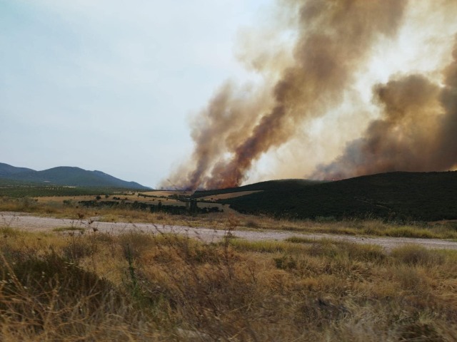 Υπό μερικό έλεγχο η φωτιά στον Πολύγυρο Χαλκιδικής