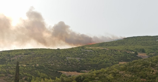 Φωτιά σε Γραμματικό, Βαρνάβα και Μαραθώνα