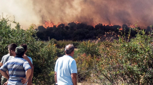 Φωτιά στον Έβρο: Μήνυμα του 112 για εκκένωση σε Λευκίμμη και Κασσιτερά Ροδόπης