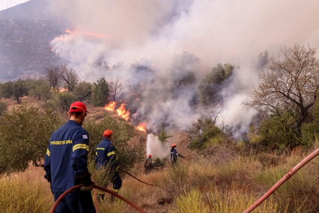 Φωτιά στις Σέρρες: Πυρκαγιά σε δασική περιοχή στο Αηδονοχώρι