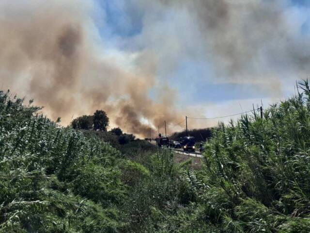 Φωτιά στη Μεσσηνία: Κοντά στον οικισμό της Ασπροπουλιάς η φωτιά – Μήνυμα του 112  (βίντεο)