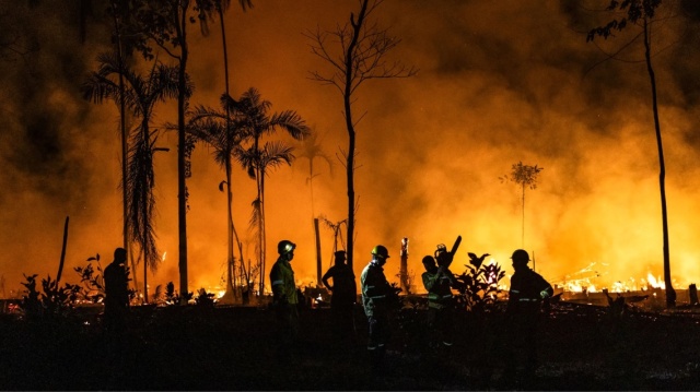 Βενεζουέλα: 12 συλλήψεις έπειτα από καταστροφικές δασικές πυρκαγιές