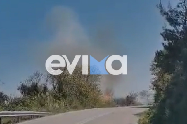 Βίντεο: Φωτιά τώρα στην Εύβοια