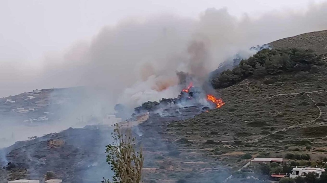 Φωτιά στην Προσύμνη Αργολίδας, καίει κοντά σε οικισμό - Σηκώθηκαν και εναέρια μέσα