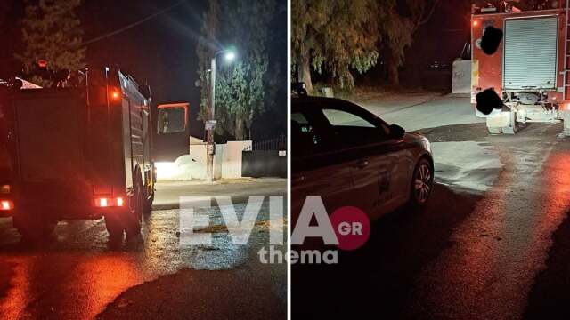 Χαλκίδα: Πέταξαν σκύλο σε κάδο απορριμμάτων και τον έκαψαν