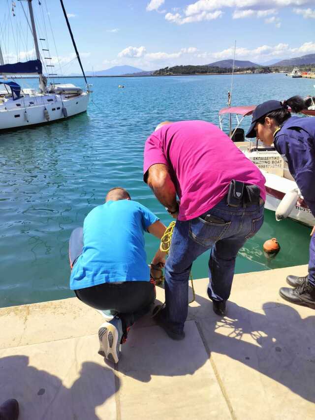 Βόλος: Στο λιμάνι εντοπίστηκε καρχαριοειδές μήκους 3,5 μέτρων