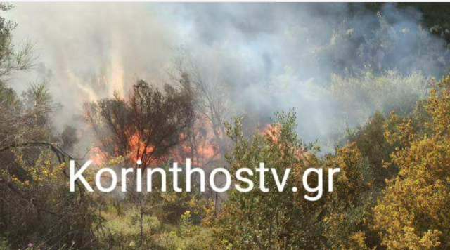 Φωτιά σε δασική έκταση στο Λουτράκι