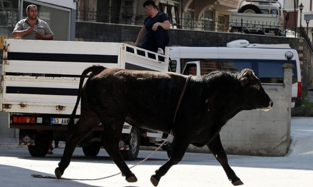 Τουρκία: Σχεδόν 16.000 άνθρωποι τραυματίστηκαν στην γιορτή της Θυσίας