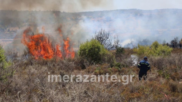 Φωτιά: Καίγεται αγροτοδασική περιοχή στη Ζάκυνθο