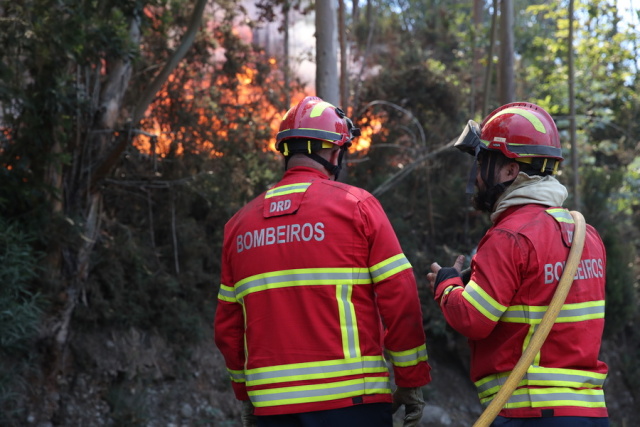 Φωτιά στην Πορτογαλία: Τουλάχιστον 50 τετραγωνικά χιλιόμετρα έγιναν στάχτη στη Μαδέρα