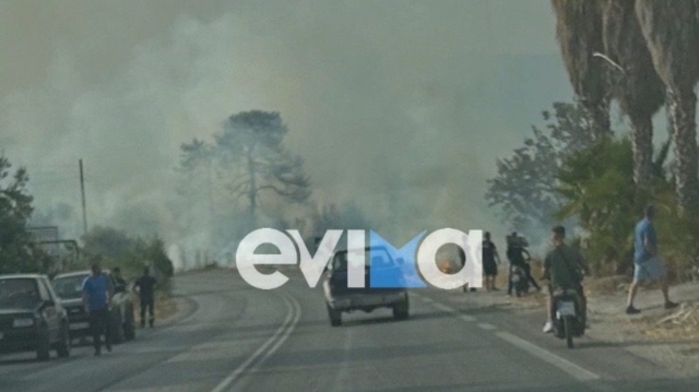 Εύβοια: Υπό έλεγχο η φωτιά που ξέσπασε κοντά σε ξενοδοχείο στην Ερέτρια