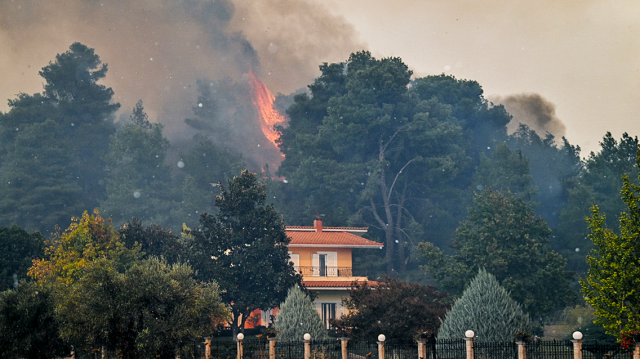 Φωτιές στην Ηλεία: Βελτιωμένη η εικόνα στο Γεράκι Αμαλιάδας – Σοβαρός τραυματισμός πυροσβέστη