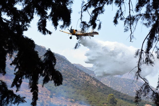 Φωτιά σε δασική έκταση στο Πετρωτό Αχαΐας