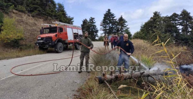 Λαμία: Έκοβαν παράνομα ξύλα και έριξαν έλατο πάνω σε καλώδια υψηλής τάσης, προκαλώντας φωτιά