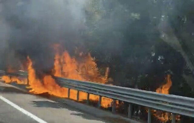 Φωτιά στην Εθνική Οδό στο ύψος της Γυρτώνης στο ρεύμα προς Αθήνα, στη Λάρισα - Δείτε βίντεο
