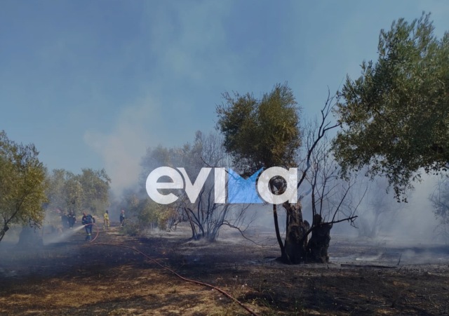 Φωτιά τώρα σε αγροτική έκταση στη Βόρεια Εύβοια