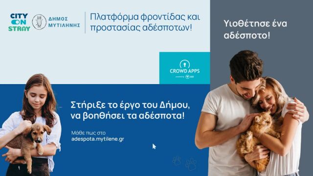 Δήμος Μυτιλήνης: Νέες ψηφιακές πλατφόρμες για τα αδέσποτα, τον εθελοντισμό και τη δημόσια διαβούλευση