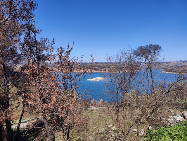 Εμφανίστηκε... βραχονησίδα στη Λίμνη Μαραθώνα– Τι δείχνουν τα στοιχεία για τα αποθέματα νερού στην Αττική
