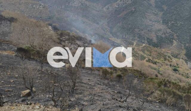 Υπό μερικό έλεγχο η φωτιά σε δασική έκταση στην Κάρυστο