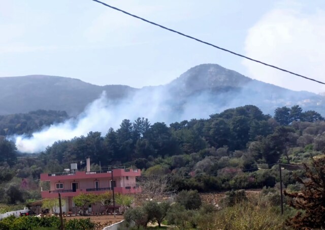 Φωτιά στη Σάμο - Ισχυρές πυροσβεστικές δυνάμεις στο σημείο, δείτε φωτογραφίες