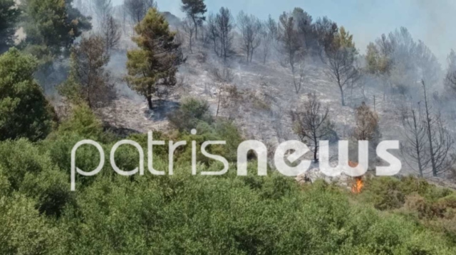 Χωρίς ενεργό μέτωπο η φωτιά στα Νέα Καλυβάκια Ηλείας - Είχε σηκωθεί και ελικόπτερο