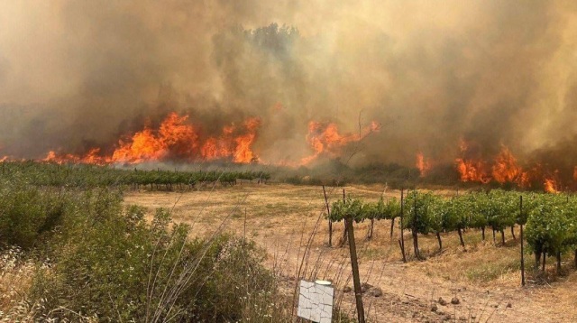 Σε πύρινο κλοιό η Ιερουσαλήμ - Εκκενώνονται οικισμοί, έκλεισαν δρόμοι, ζητήθηκε βοήθεια και από την Ελλάδα