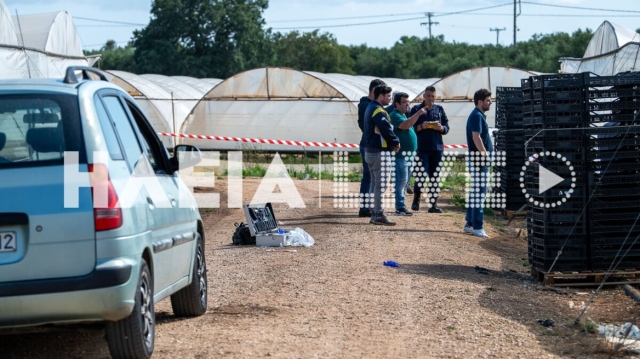 Δολοφονία στη Βάρδα: Τον σκότωσε και μετά πήγε να μαζέψει φράουλες
