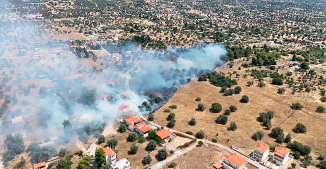 Οριοθετήθηκε η φωτιά στη Λιανή Άμμο στην Ερέτρια