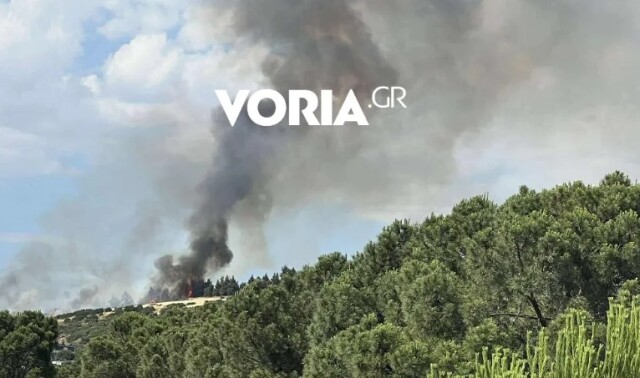 Φωτιά στην Ευκαρπία Θεσσαλονίκης πίσω από το νοσοκομείο Παπαγεωργίου - Μήνυμα από το 112