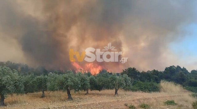 Οριοθετήθηκε η φωτιά στη Λάρυμνα Φθιώτιδας - Επιχειρεί η Πυροσβεστική, σηκώθηκαν έξι εναέρια