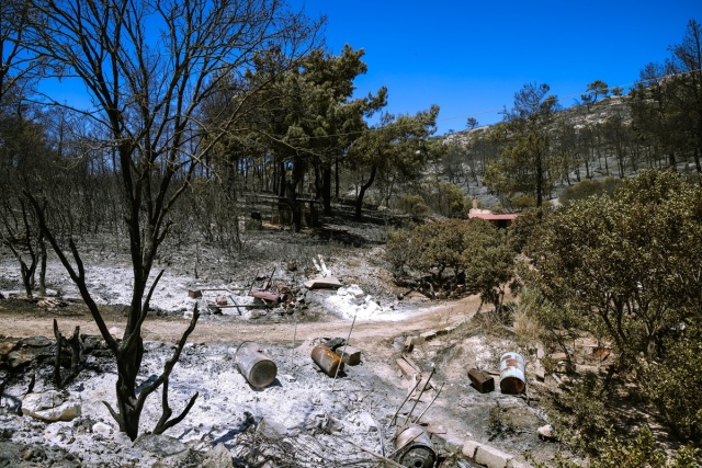 Δικογραφία για εμπρησμό σε βάρος άνδρα για τις φωτιές σε Άγιο Μακάριο και Άγιο Μάρκο στη Χίο