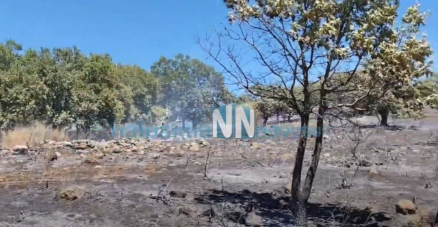 Υπό μερικό έλεγχο η φωτιά σε δασική έκταση στις Οινιάδες Μεσολογγίου