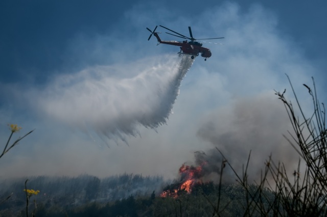 ΠΥΡΟΣΒΕΣΤΙΚΗ: 41 ΠΥΡΚΑΓΙΕΣ ΕΚΔΗΛΩΘΗΚΑΝ ΤΟ ΤΕΛΕΥΤΑΙΟ 24ΩΡΟ