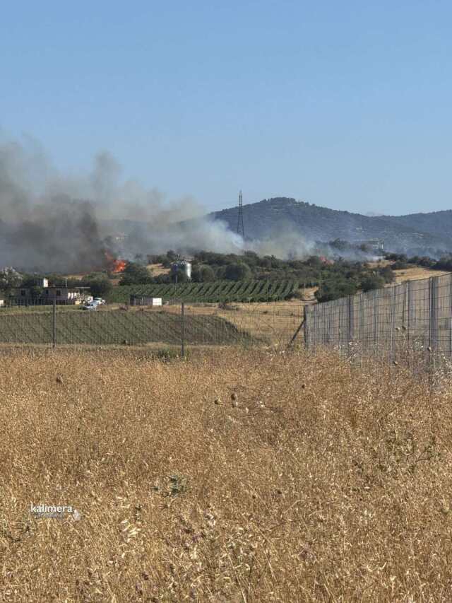 Χωρίς ενεργό μέτωπο η φωτιά στον Άγιο Σώστη στην Τρίπολη
