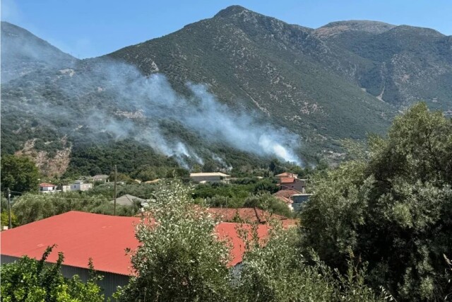 Χωρίς ενεργό μέτωπο η φωτιά στη Γλυκή Θεσπρωτίας