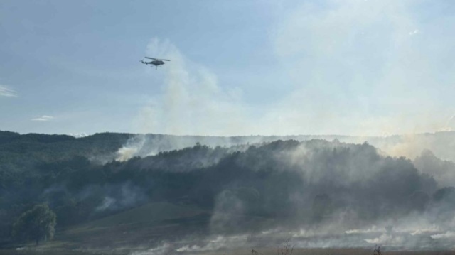 Υπό μερικό έλεγχο η φωτιά στην Αγναντιά Καλαμπάκας - Δείτε φωτογραφίες