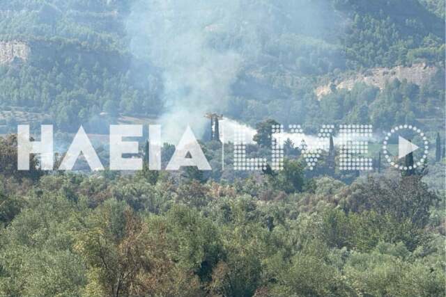 Μεγάλη αναζωπύρωση της φωτιάς στο Χελιδόνι Αρχαίας Ολυμπίας - Κατευθύνεται προς τη Νεράιδα