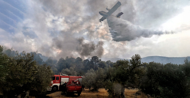 Φωτιά τώρα σε Κεφαλονιά, Φωκίδα, Βόνιτσα καιΖάκυνθο - Εκκενώθηκαν οικισμοί, διακοπές ρεύματος, δείτε βίντεο