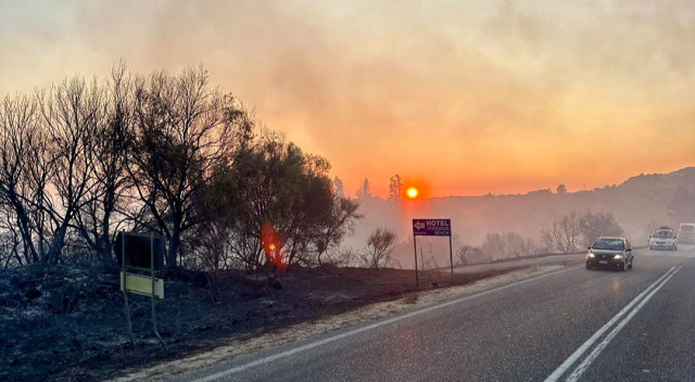 Κατεπείγουσα έρευνα για εμπρησμούς στην Ήπειρο με παρέμβαση του Εισαγγελέα Εφετών Ιωαννίνων