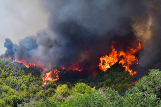 Σε εξέλιξη πυρκαγιά σε δασική έκταση στον Τύρναβο