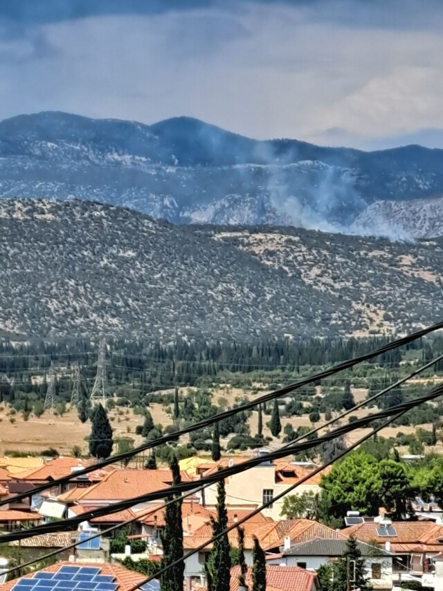 Φωτιά σε δάσος στο Καλό Πηγάδι Φωκίδας - Σηκώθηκαν δύο ελικόπτερα, δείτε βίντεο