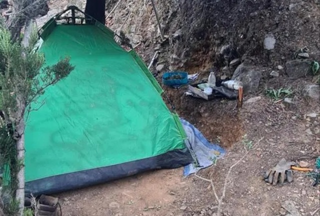 Μεγάλη χασισοφυτεία σε φαράγγι στα Χανιά - Είχαν στήσει σκηνή και «έκλεβαν» νερό για να ποτίζουν οι δύο συλληφθέντες