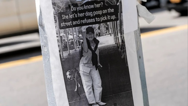 «Εκστρατεία ντροπής» για γυναίκα που δεν μάζευε τις ακαθαρσίες του σκύλου της
