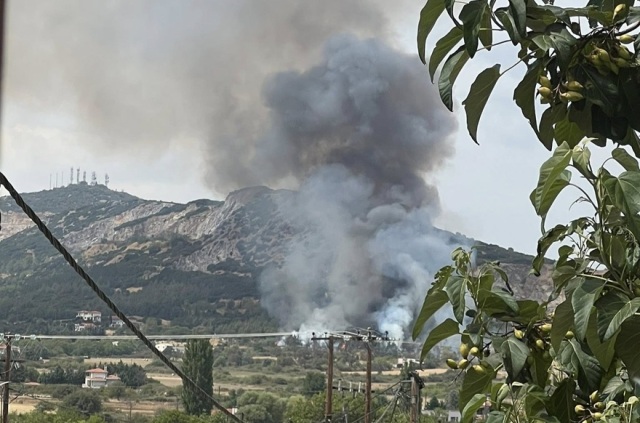 Σε ύφεση η φωτιά στην Πυλαία Θεσσαλονίκης