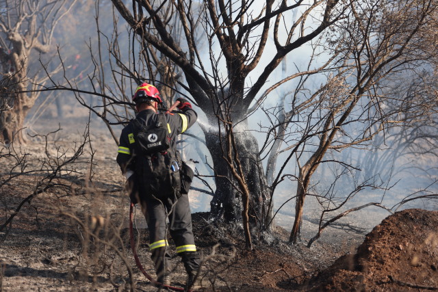 Συνελήφθη άνδρας για 11 εμπρησμούς στην Ξάνθη