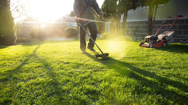 Θεσσαλονίκη: Συνελήφθη 34χρονος επειδή χτύπησε δημοτικό υπάλληλο που έκοβε το δέντρο που είχε φυτέψει